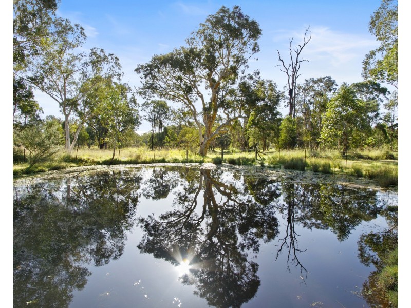 62 Torkington Road, Londonderry NSW 2753