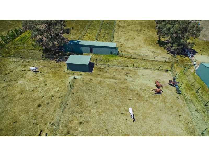 41 Branders Lane, North Richmond NSW 2754