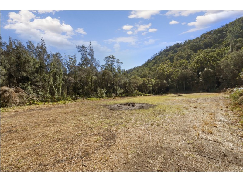181 Popran Road, Lower Mangrove NSW 2250