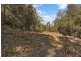 181 Popran Road, Lower Mangrove NSW 2250