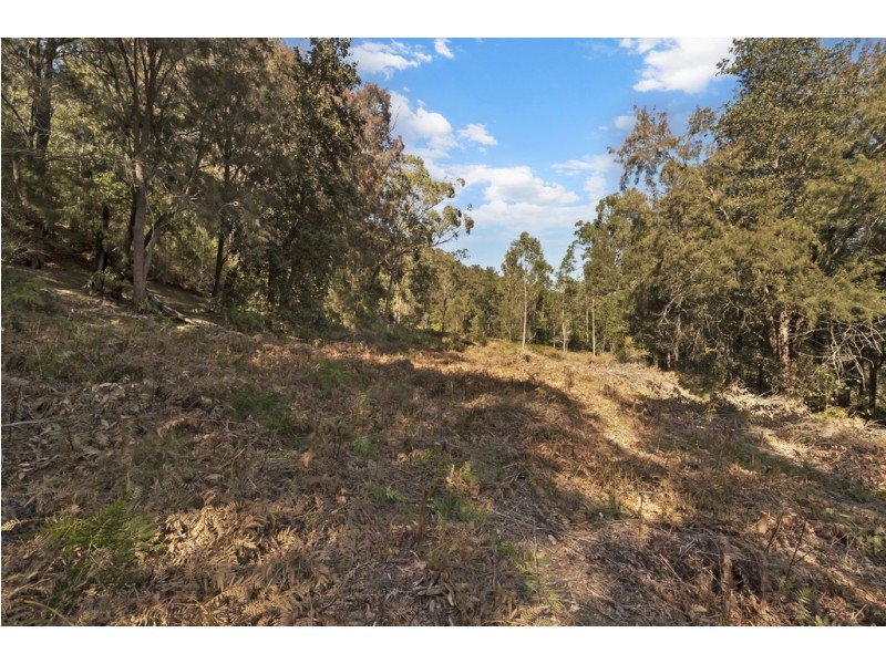 181 Popran Road, Lower Mangrove NSW 2250