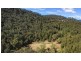 181 Popran Road, Lower Mangrove NSW 2250