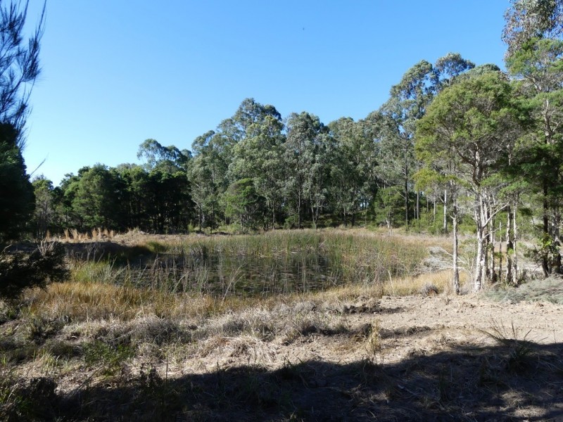 Failford NSW 2430