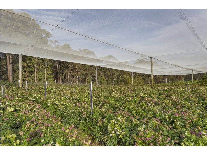 Kurrajong Heights NSW 2758