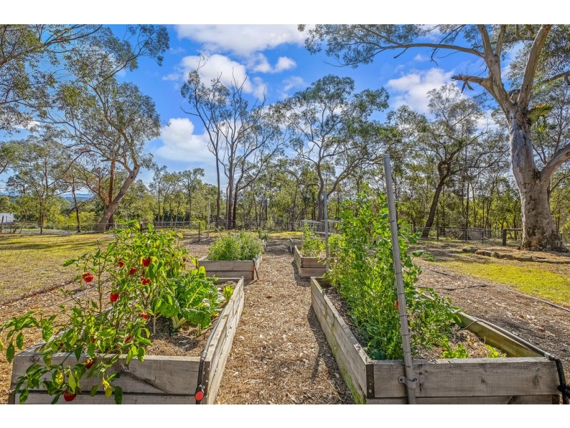 56 Moles Road, Wilberforce NSW 2756