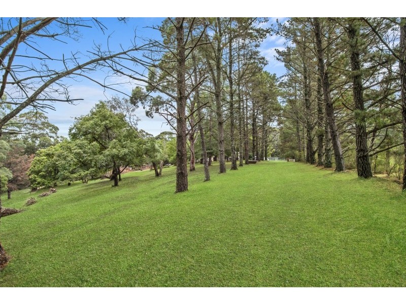 3155 Putty Road, Colo Heights NSW 2756