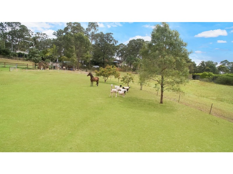 442 Grose Vale Road, Grose Vale NSW 2753