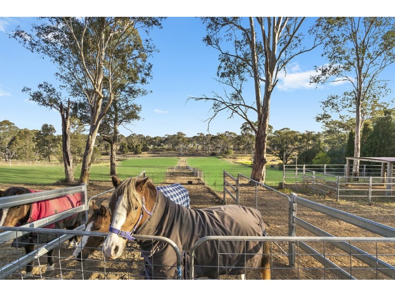 140 Commercial Road, Vineyard NSW 2765