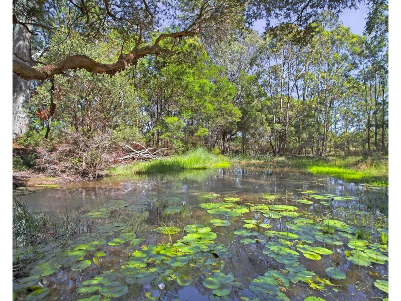 43 Meadows Road, North Richmond NSW 2754