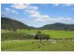 1521 St Albans Road, Central Macdonald NSW 2775