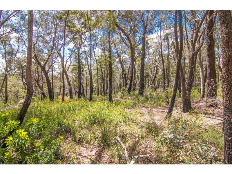 131 Burralow Road, Kurrajong Heights NSW 2758