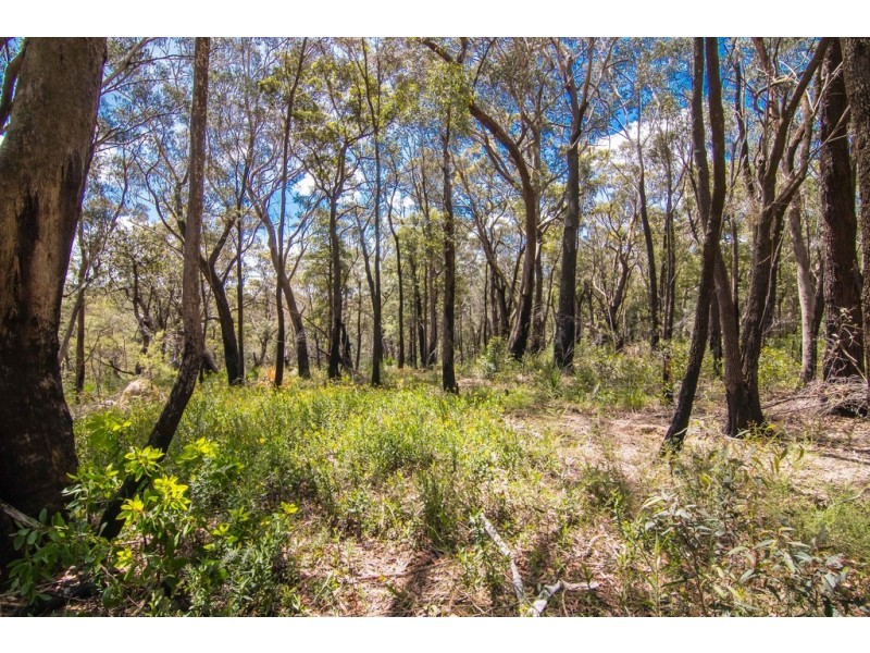 131 Burralow Road, Kurrajong Heights NSW 2758