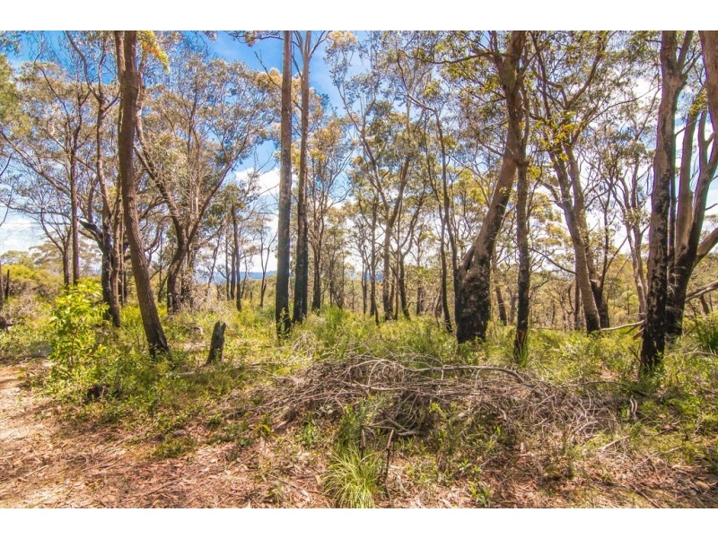 131 Burralow Road, Kurrajong Heights NSW 2758