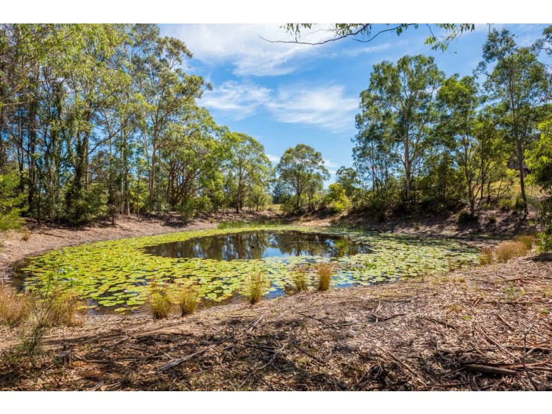 450 East Kurrajong Road, East Kurrajong NSW 2758