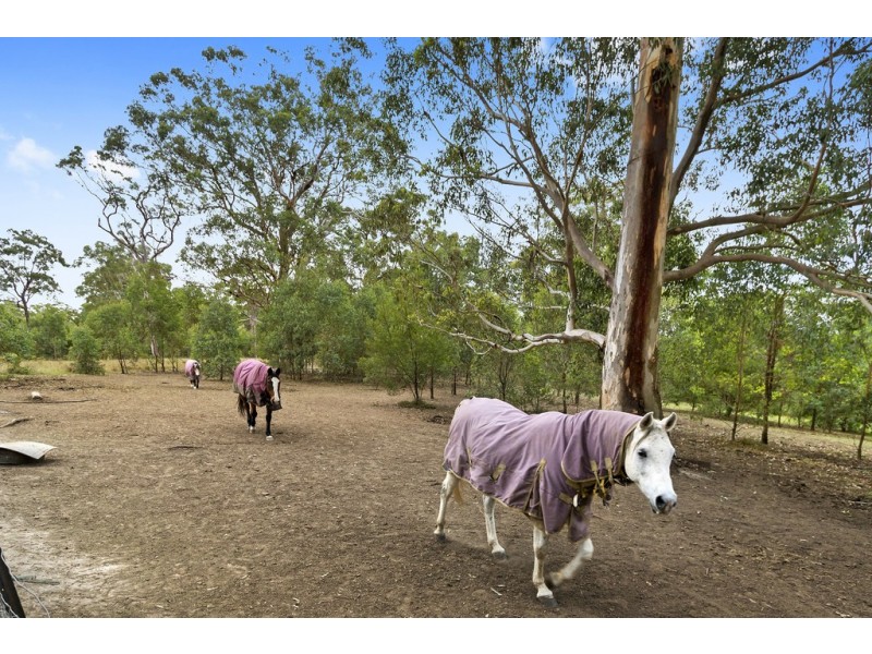 72a Barina Drive, Colo Heights NSW 2756