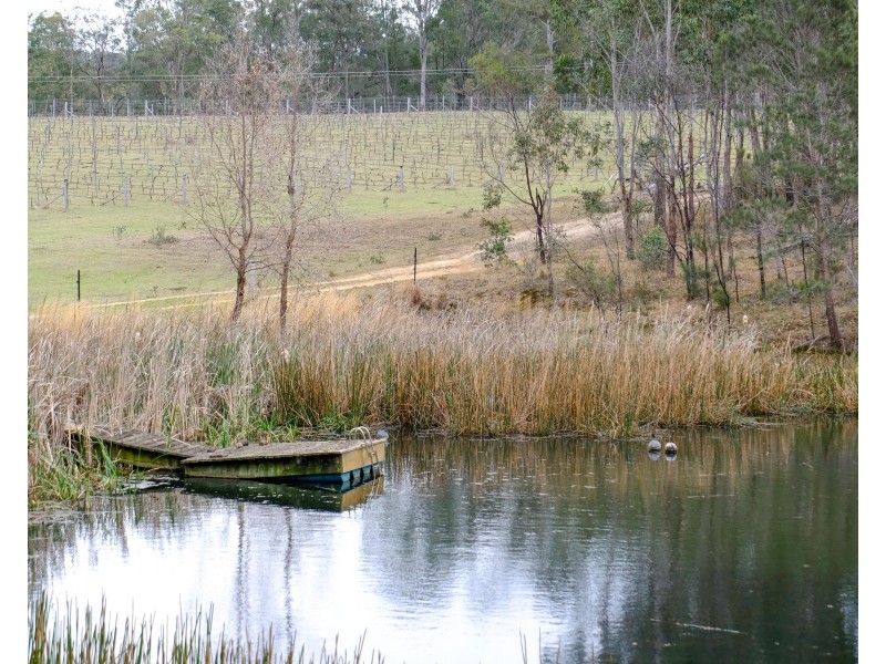 6299 Putty Road, Howes Valley NSW 2330