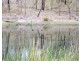 6299 Putty Road, Howes Valley NSW 2330