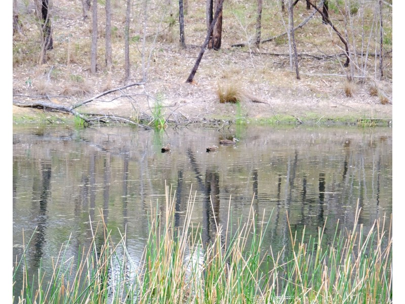 6299 Putty Road, Howes Valley NSW 2330