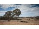 Lot 4 Clarke Road, Laggan NSW 2583
