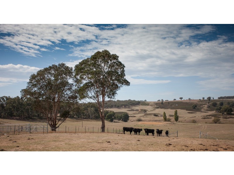 Lot 4 Clarke Road, Laggan NSW 2583