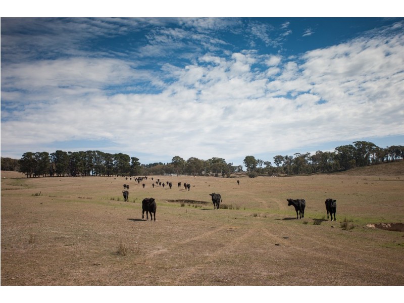 Lot 4 Clarke Road, Laggan NSW 2583