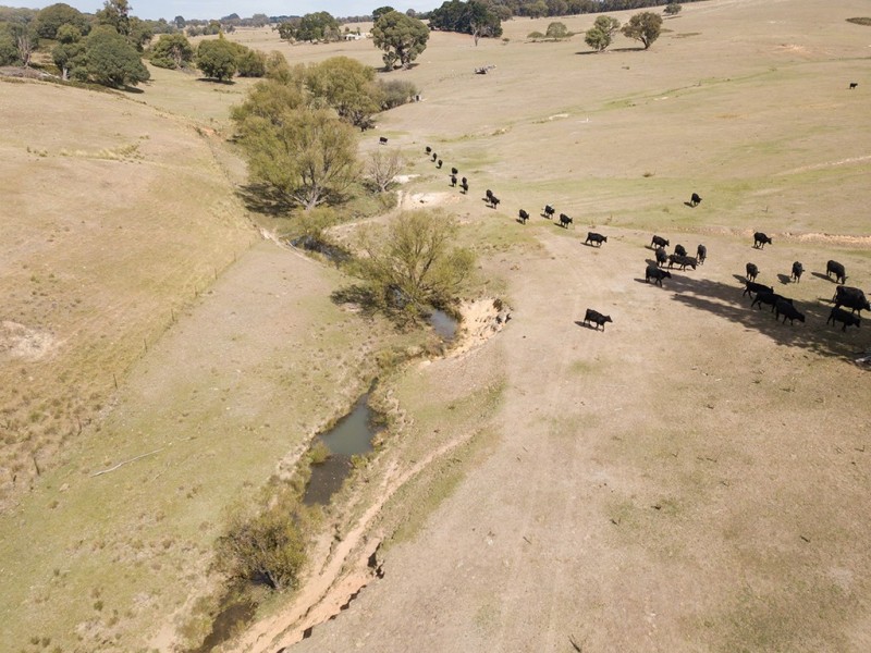 Lot 4 Clarke Road, Laggan NSW 2583