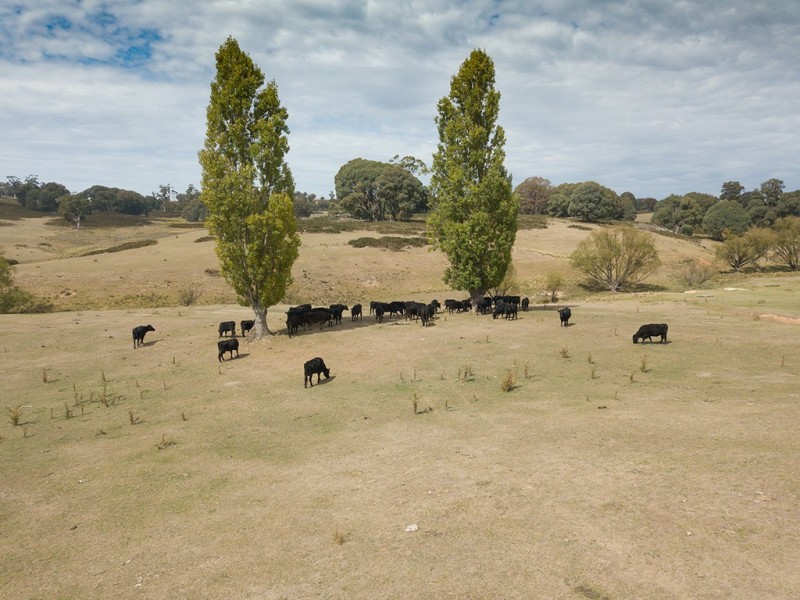Lot 4 Clarke Road, Laggan NSW 2583