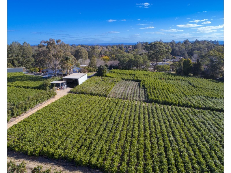 18 Cairnes Road, Glenorie NSW 2157