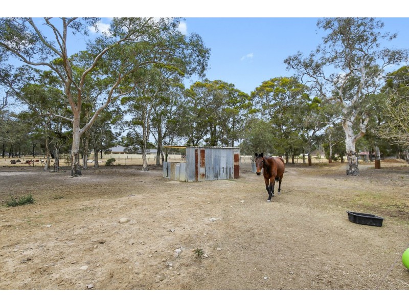 278 Devlin Road, Castlereagh NSW 2749