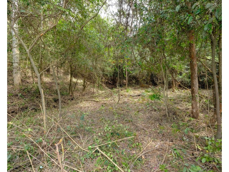 Lot 10, 21 & 22 of 251 Greens Road, Lower Portland NSW 2756