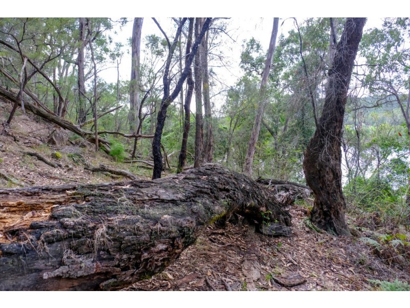 Lots 5-9 and 25 of 251 Greens Road, Lower Portland NSW 2756