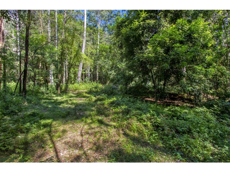 1370 Comleroy Road, Wheeny Creek NSW 2758