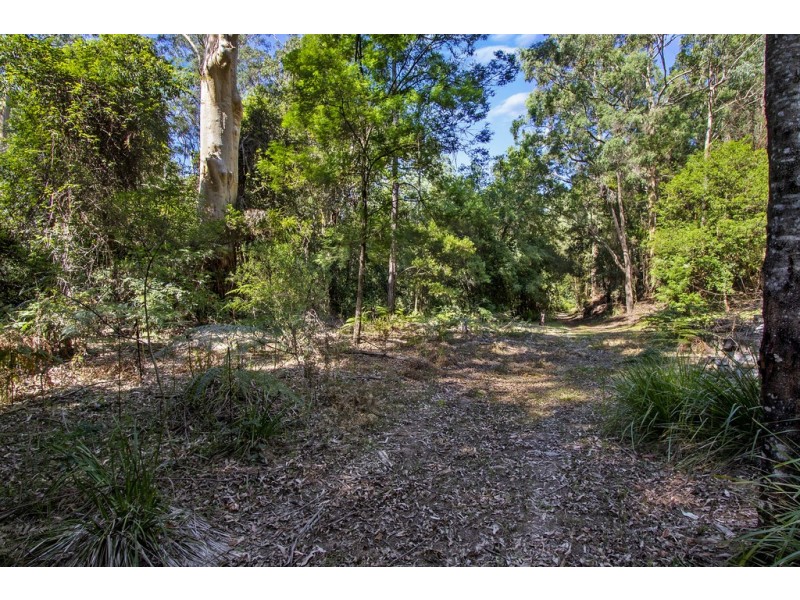 1370 Comleroy Road, Wheeny Creek NSW 2758