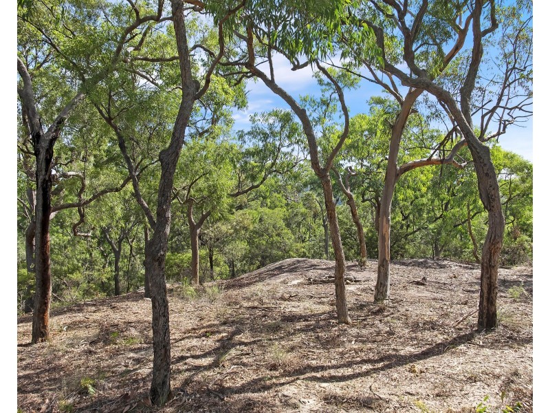 Lower Portland NSW 2756