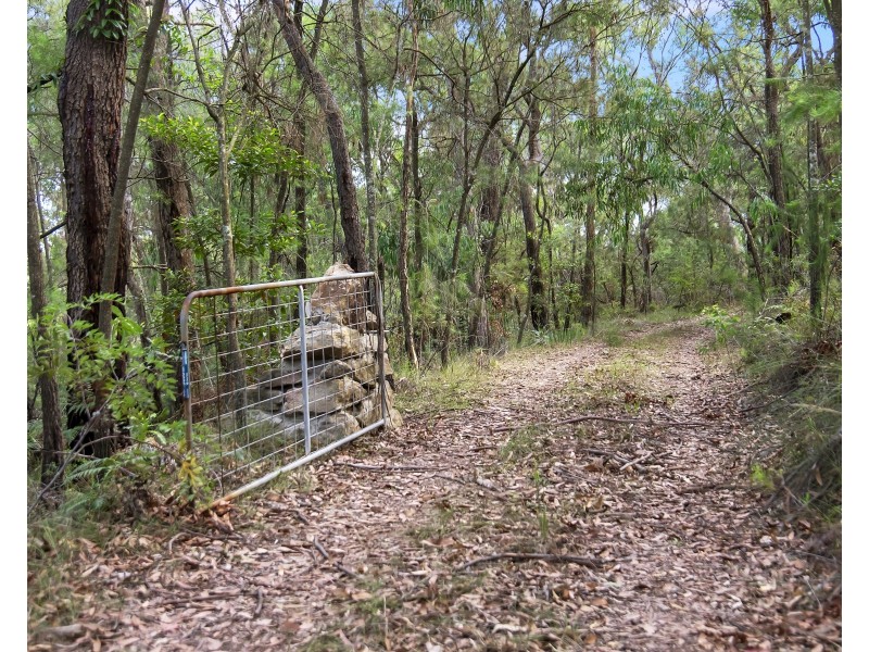 Lower Portland NSW 2756