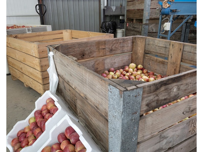 2327 Bells Line of Road, Bilpin NSW 2758