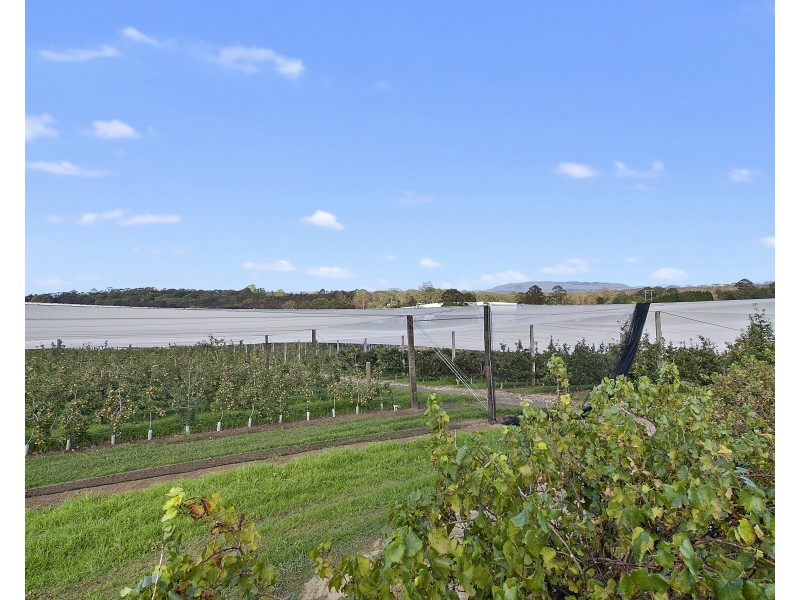 2327 Bells Line of Road, Bilpin NSW 2758