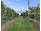 2327 Bells Line of Road, Bilpin NSW 2758