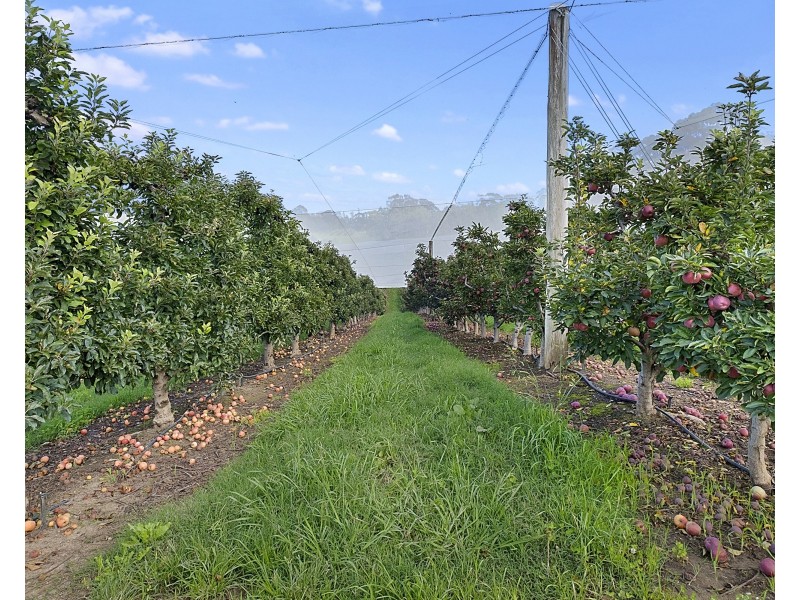 2327 Bells Line of Road, Bilpin NSW 2758