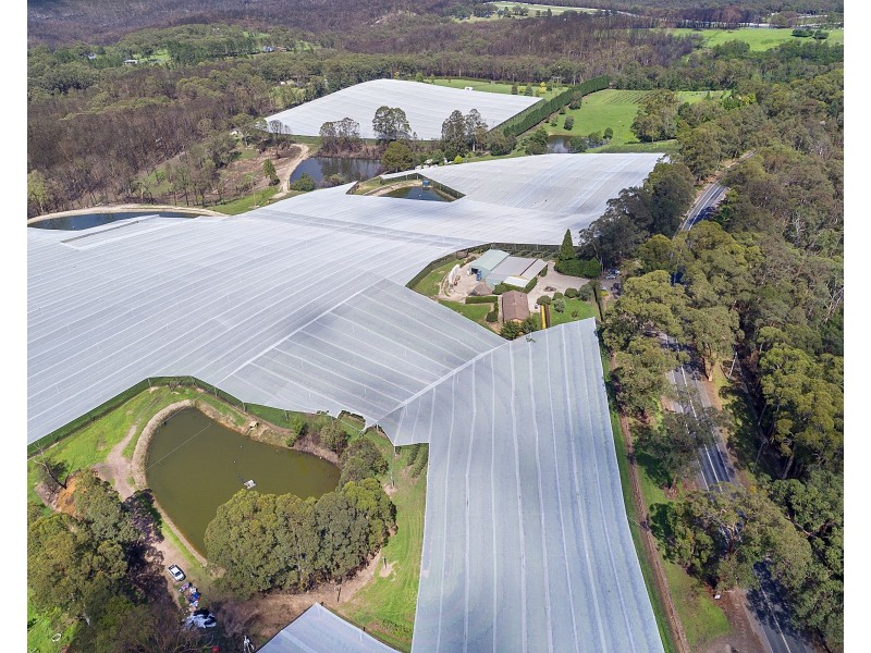 2327 Bells Line of Road, Bilpin NSW 2758