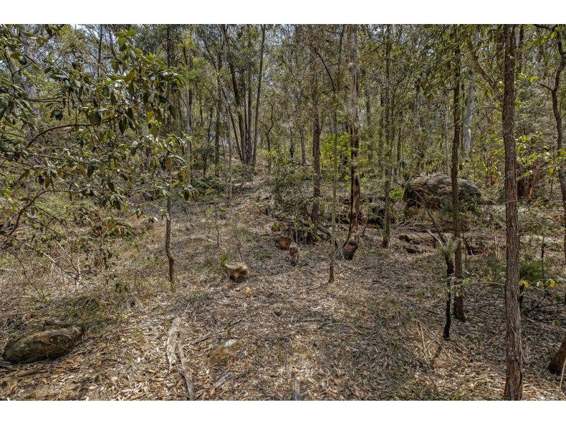 Lots 5 and 6 Greens Road, Lower Portland NSW 2756