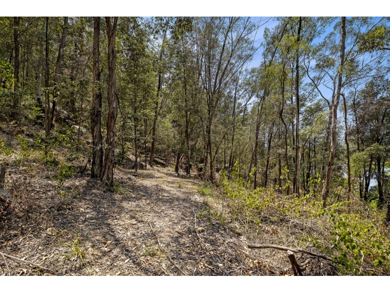 Lots 5 and 6 Greens Road, Lower Portland NSW 2756