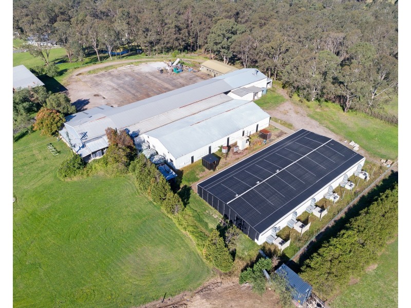 24 Reedy Road, Cattai NSW 2756