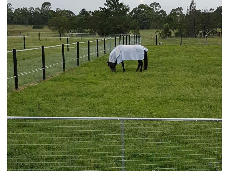 20 Brooks Lane, Agnes Banks NSW 2753