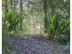 161 Popran Road, Lower Mangrove NSW 2250