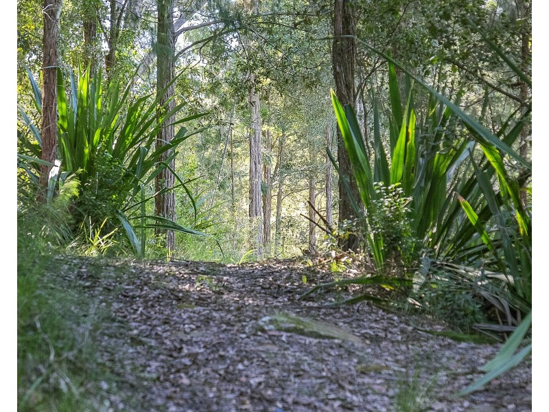 161 Popran Road, Lower Mangrove NSW 2250