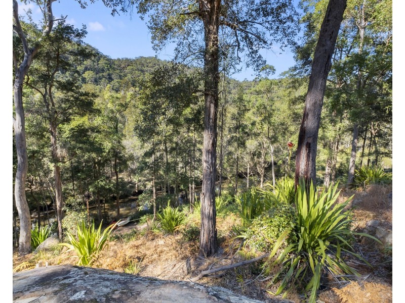 161 Popran Road, Lower Mangrove NSW 2250