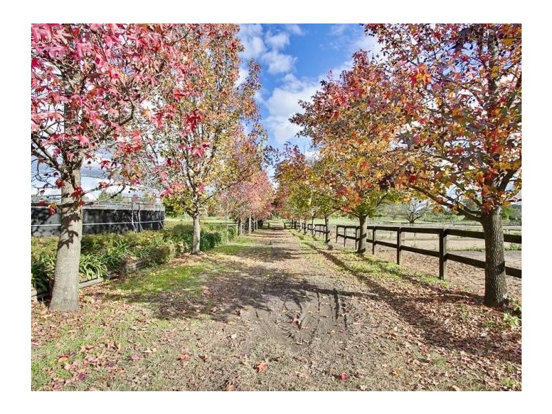 Freemans Reach NSW 2756