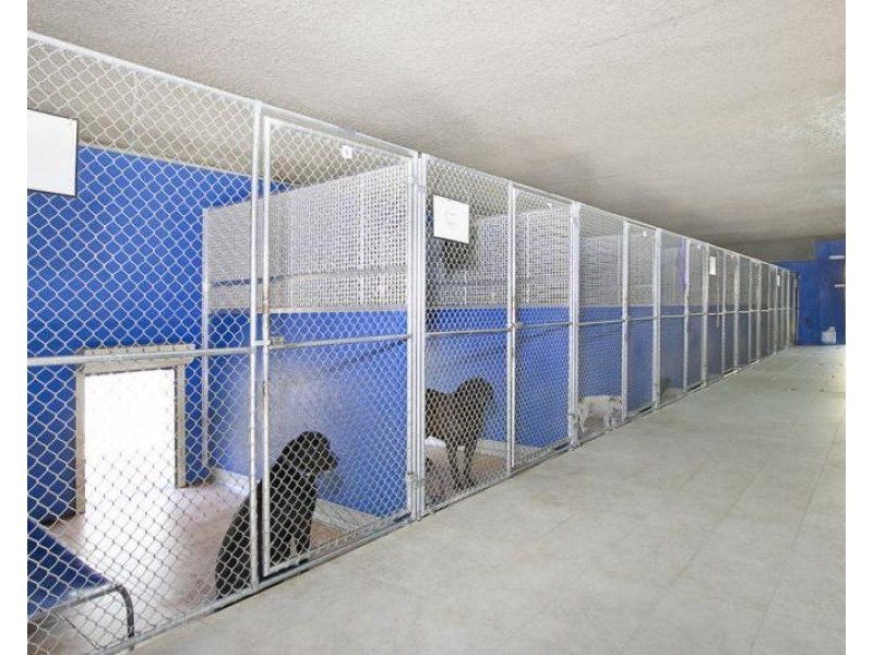 Berkshire Park NSW 2765