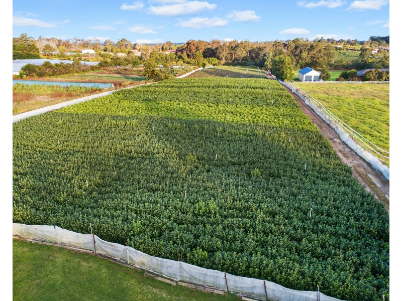 34 Cairnes Road, Glenorie NSW 2157